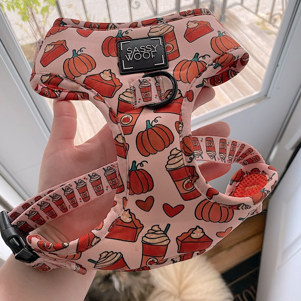 Sassy Woof - Adjustable Dog Harness - “Pie There!” NWOT